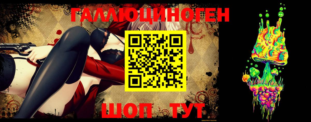 закладки  Псилоцибиновые грибы GOLDEN TEACHER  Кашира  Вход с VPN  Псилоцибиновые грибы GOLDEN TEACHER 